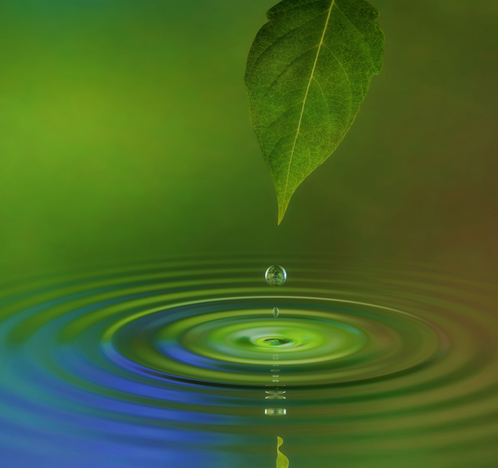 Umwelt